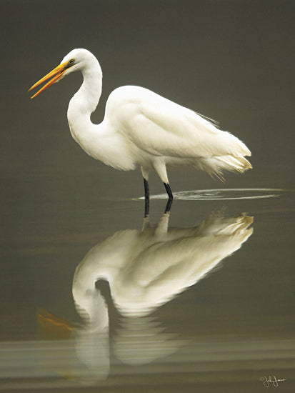 John Jones JJAR1014 - Reflection - Egret, Lake from Penny Lane Publishing