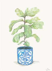 JM303 - Fiddle Leaf Plant      - 12x16