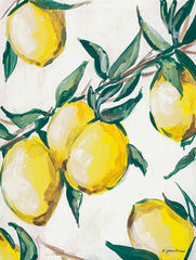 JM363 - Lemon Branch - 12x16