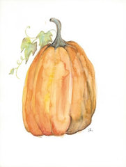 JM529LIC - Plump Pumpkin - 0