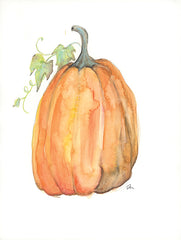 JM529 - Plump Pumpkin - 12x16