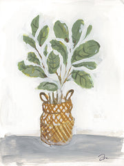 JM569 - Fiddle Fig    - 12x16