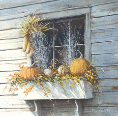 JR161 - Window Dressing - 12x12