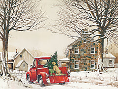 JR382 - Tucker's First Christmas - 16x12