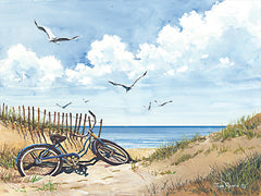 JR387 - Beach Access - 16x12