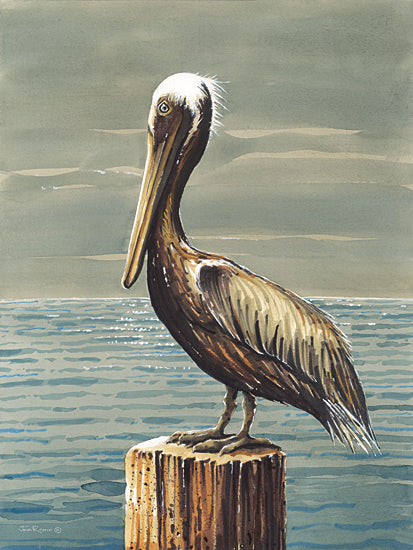 John Rossini JR409 - JR409 - Pete - 12x16 Coastal, Ocean, Pelican, Bird, Post, Profile from Penny Lane