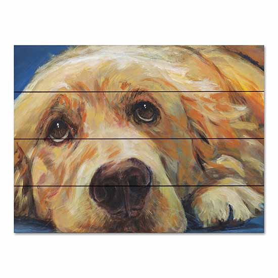 Kamdon Kreations KAM558PAL - KAM558PAL - The Duke - 16x12 Dogs, Pets, Golden Retriever from Penny Lane