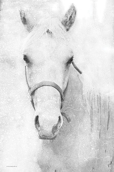 Kamdon Kreations KAM825 - KAM825 - Storm in the Mist - 12x18 Horse, Abstract, Portrait, White Horse from Penny Lane