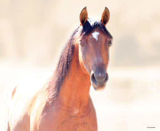 Kari Brooks KARI144 - KARI144 - Straight Up Berry - 16x12 Horse, Portrait, Selfie from Penny Lane