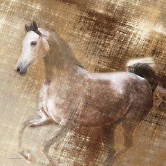 KARI167 - Golden Grey - 12x12