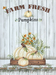 KEN1198 - Farm Fresh Pumpkin - 12x16