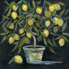 KS129 - Lemon Tree - 12x12