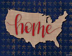 LAR445 - USA Home - 16x12