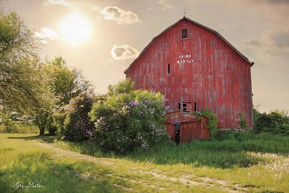 Lori Deiter LD1087 - Spide Barton Barn - Barn, Trees from Penny Lane Publishing