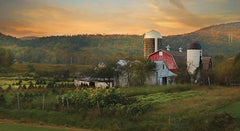 LD1130GP - New York Country Sunset