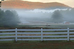 LD1136GP - Hudson Valley Mist