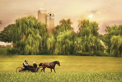 LD1142 - Amish Buggy Ride - 18x12