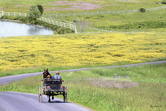 LD1143 - Spring in Amish Country - 18x12