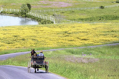 LD1143GP - Spring in Amish Country