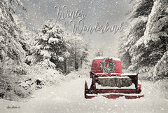 LD1613 - Winter Wonderland   - 18x12