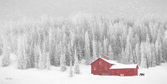 LD1855 - Old Wyoming Barn - 18x9