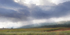 LD1945 - Foggy Farmland - 18x9