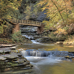 LD1978 - Autumn at Stony Brook   - 12x12