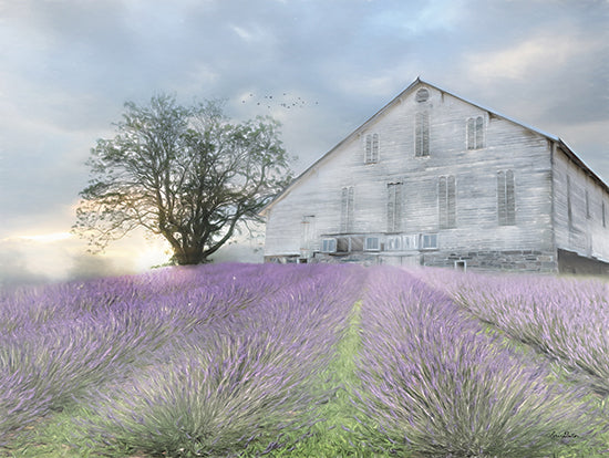 Lori Deiter LD2021 - LD2021 - Summer Sunrise - 16x12 Lavender, Fields, Farm, Tree, Barn, Photography from Penny Lane