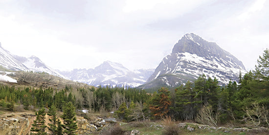 Lori Deiter LD2207 - LD2207 - Many Glacier Landscape - 18x9 Mountains, Trees, Pine Trees, Glacier, Landscape, Photography from Penny Lane