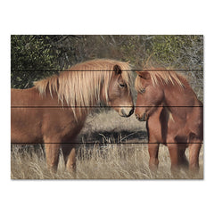 LD2286PAL - Assateague Horses III - 16x12