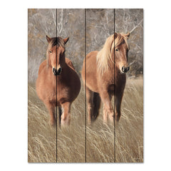 LD2287PAL - Assateague Horses IV - 12x16