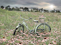 LD2289 - Sagebrush Bicycle - 16x12