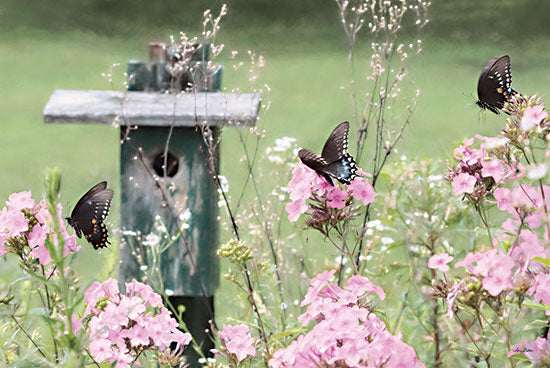 Lori Deiter LD2452 - LD2452 - Summer Fantasy - 18x12 Birdhouse, Butterflies, Flowers, Hydrangeas, Summer, Photography from Penny Lane