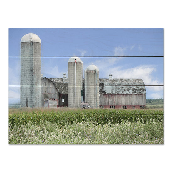 Lori Deiter LD2509PAL - LD2509PAL - Long Point Barn - 16x12 Farm, Barn, Silos, Fields, Landscape, Photography from Penny Lane