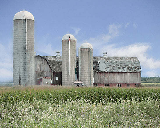 Lori Deiter LD2509 - LD2509 - Long Point Barn - 16x12 Farm, Barn, Silos, Fields, Landscape, Photography from Penny Lane