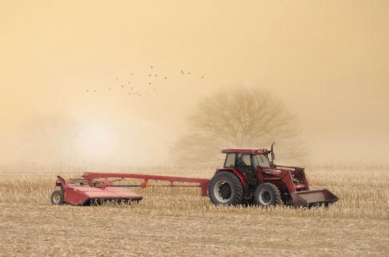 Lori Deiter Licensing LD2523LIC - LD2523LIC - Foggy Morning in the Field - 0  from Penny Lane