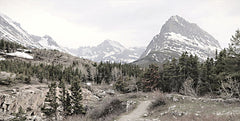 LD2535 - Glacier National Park - 18x9