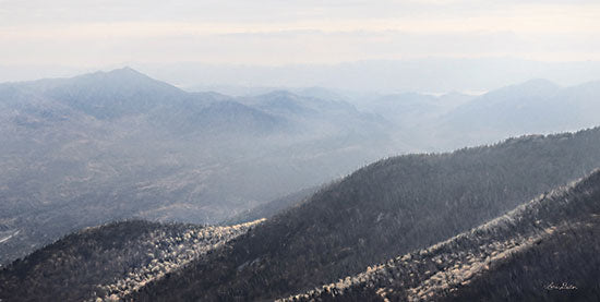 Lori Deiter LD2538 - LD2538 - Adirondack Mountains 2 - 18x9 Mountains, Adirondack Mountains, New York, Trees, Photography from Penny Lane