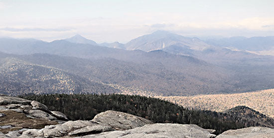 Lori Deiter LD2539 - LD2539 - Adirondack Mountains 3 - 18x9 Mountains, Adirondack Mountains, New York, Trees, Photography from Penny Lane