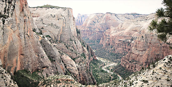 Lori Deiter LD2542 - LD2542 - Zion from Above - 18x9 Zion Mountain Range, Utah, Photography, Mountains, Landscape from Penny Lane