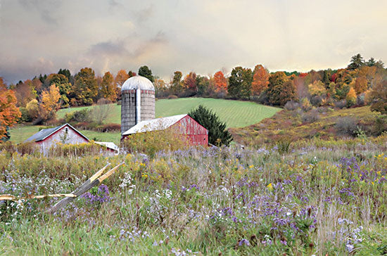 Lori Deiter LD2544 - LD2544 - Autumn Drive - 18x12 Fall, Autumn, Barn, Farm, Fields, Landscape, Photography from Penny Lane