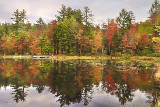 Lori Deiter Licensing LD2545LIC - LD2545LIC - Adirondacks Foliage - 0  from Penny Lane