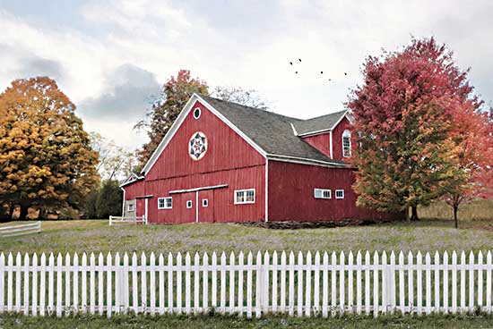 Lori Deiter LD2552 - LD2552 - Fall Barn - 18x12 Photography, Barn, Farm, Red Barn, Barn Quilt, Trees, Autumn, Landscape from Penny Lane