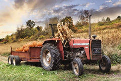 LD2555LIC - Pumpkin Harvest - 0