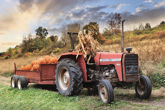 Lori Deiter LD2555 - LD2555 - Pumpkin Harvest - 18x12 Pumpkin Harvest, Pumpkins, Tractor, Farm, Fall, Autumn, Landscape, Photography from Penny Lane