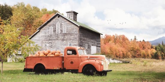 Lori Deiter Licensing LD2556LIC - LD2556LIC - Pumpkin Patch - 0  from Penny Lane