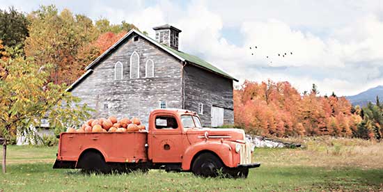 Lori Deiter LD2556 - LD2556 - Pumpkin Patch - 18x9 Pumpkins, Truck, Farm, Barn, Pumpkin Patch, Fall, Autumn, Landscape, Photography from Penny Lane