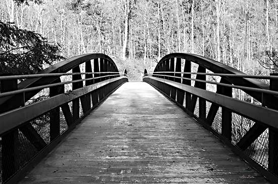 Lori Deiter LD2557 - LD2557 - Wiconisco Creek Bridge - 18x12 Wiconisco Creek Bridge, Photography, Black & White, Bridge, Landscape from Penny Lane