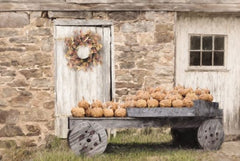 LD2563LIC - Fort Halifax Pumpkin Wagon - 0