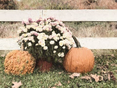 LD2564LIC - Fall Display II - 0